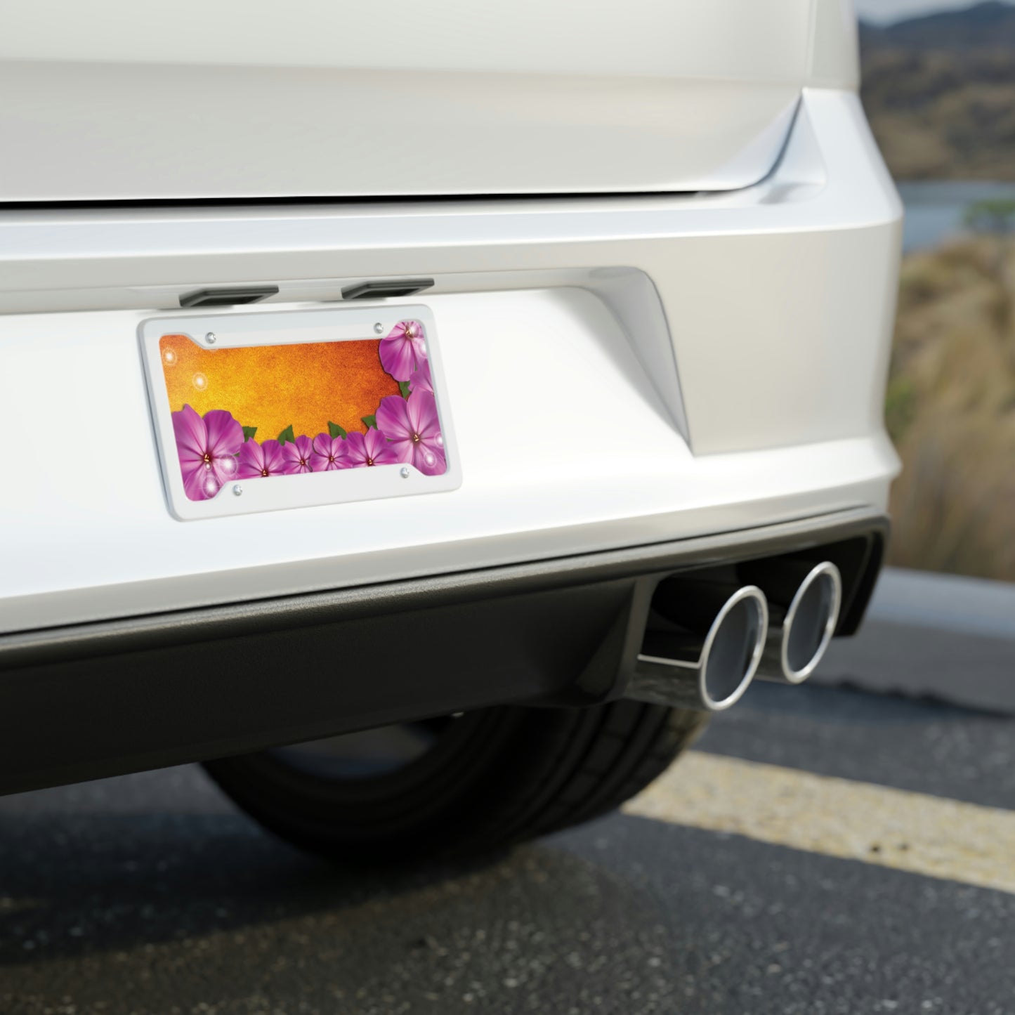 License Plate